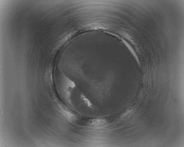 X0000065990398200603061303