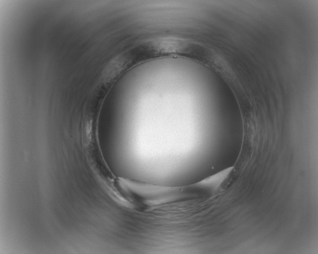 X0000065990406200603061303