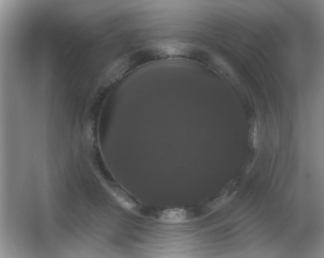 X0000065990410200603061302