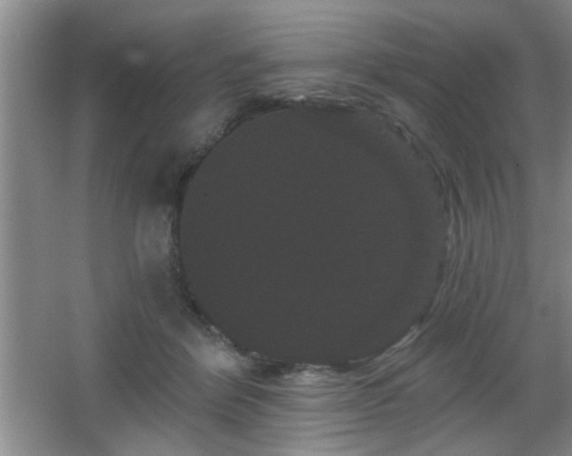 X0000065990412200603061302