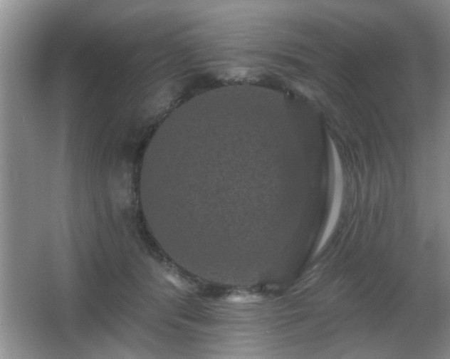 X0000065990416200603061302