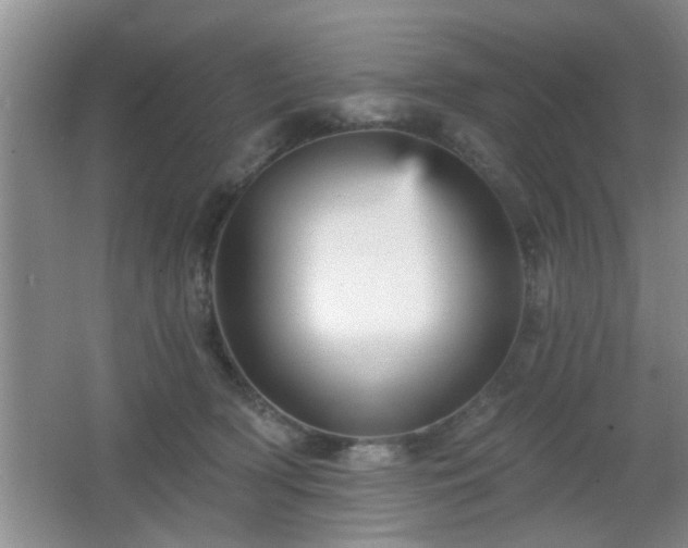 X0000065990418200603061302