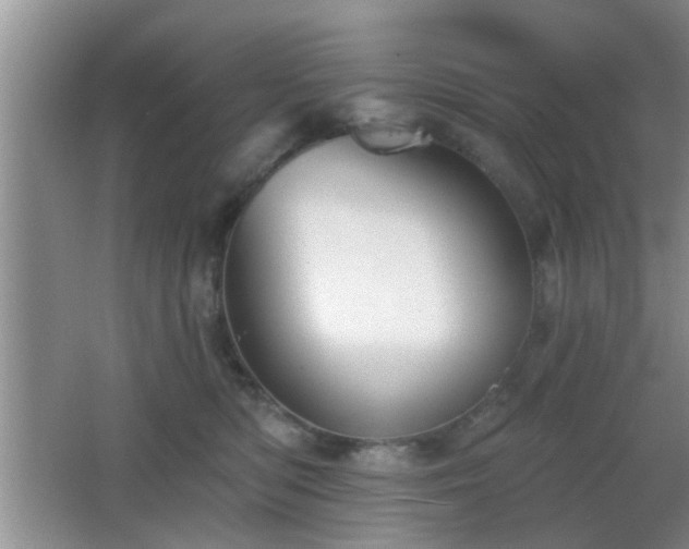 X0000065990422200603061302