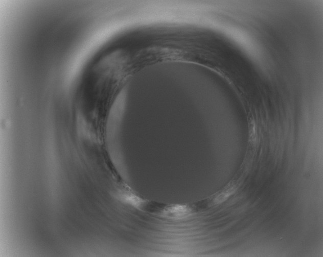 X0000065990431200603061302