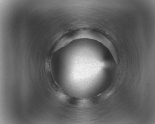 X0000065990432200603061302