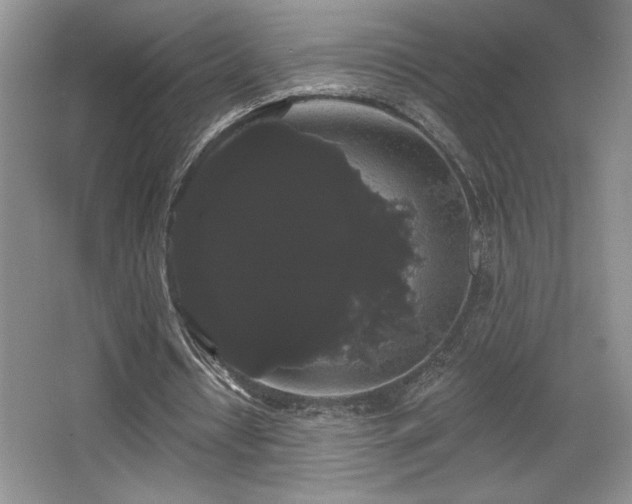 X0000065990434200603061301