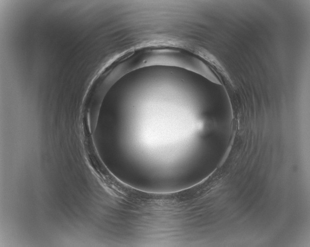 X0000065990436200603061301