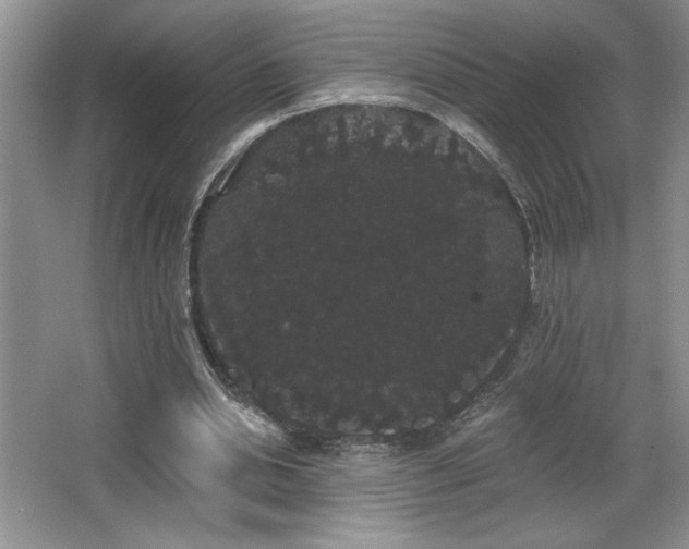 X0000065990438200603061301