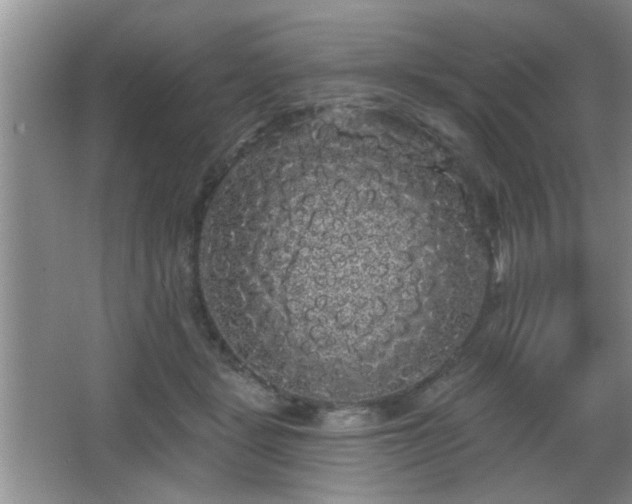 X0000065990461200603061302