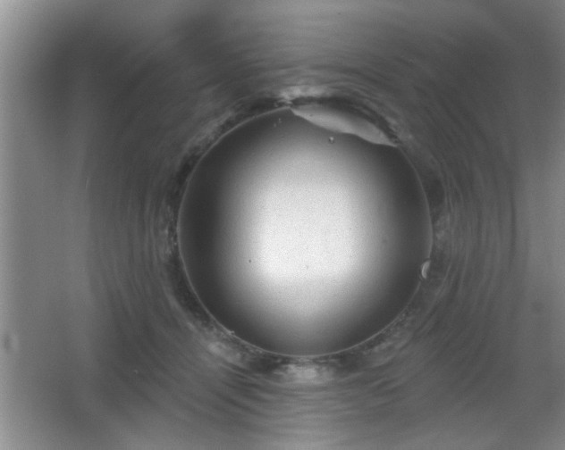 X0000065990464200603061302