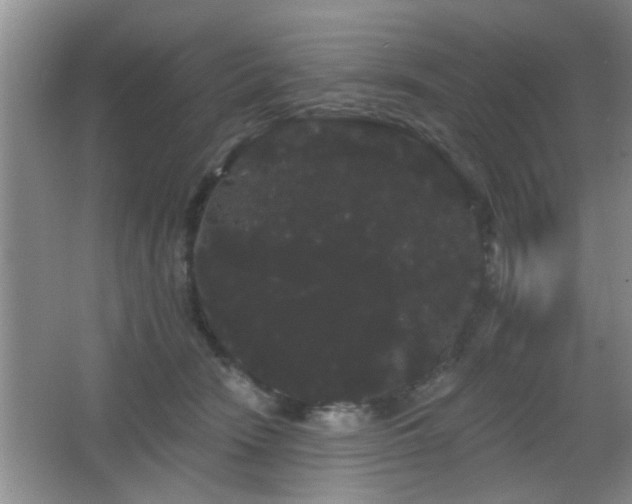 X0000065990466200603061302
