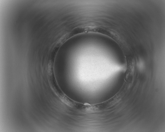 X0000065990468200603061302
