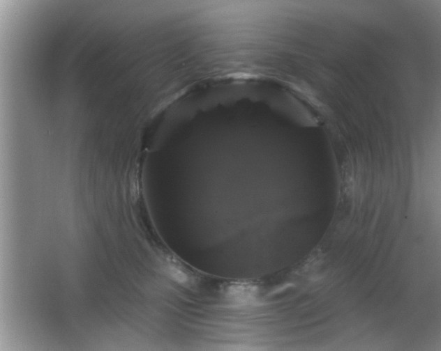 X0000065990471200603061302