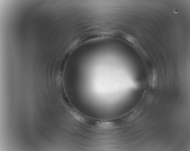 X0000065990476200603061302