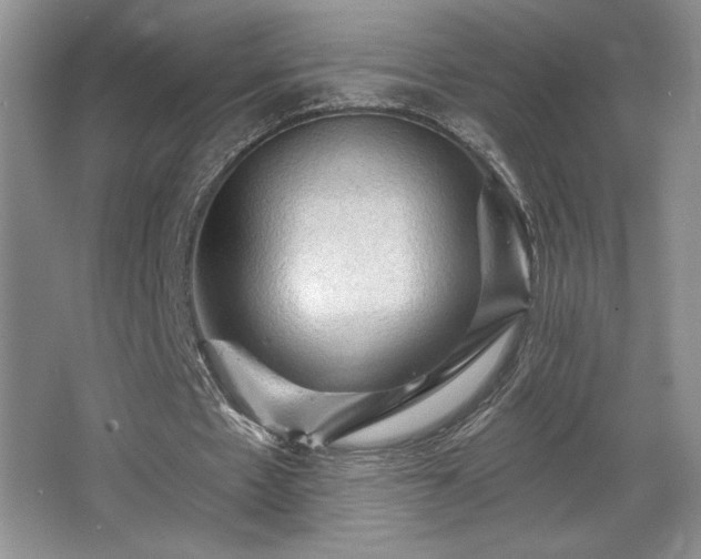 X0000065990481200603061301