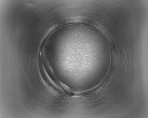 X0000065990482200603061301
