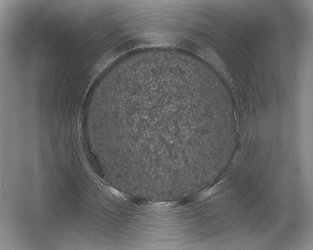 X0000065990483200603061301