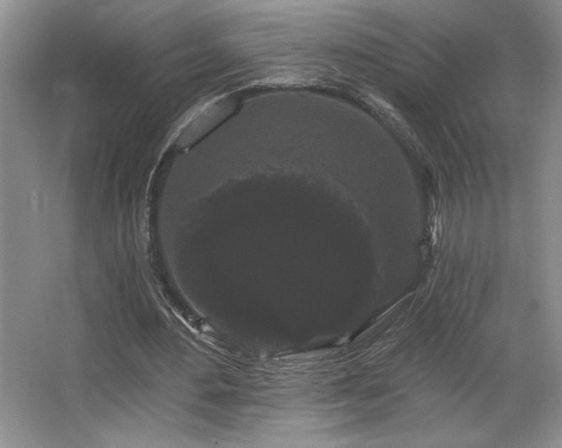 X0000065990484200603061301