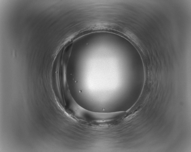 X0000065990485200603061301