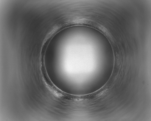 X0000065990486200603061301