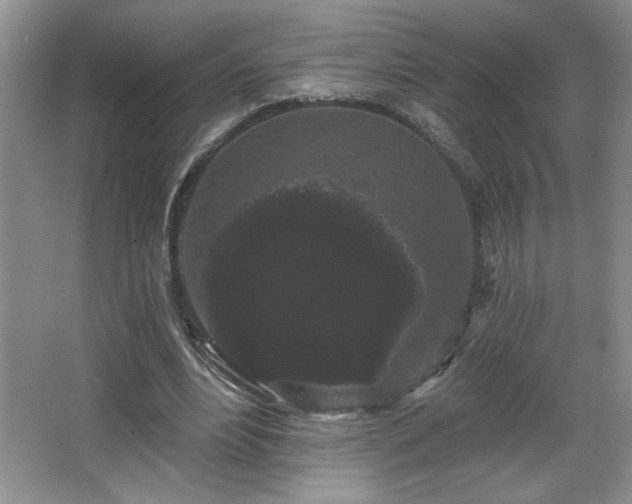 X0000065990488200603061301