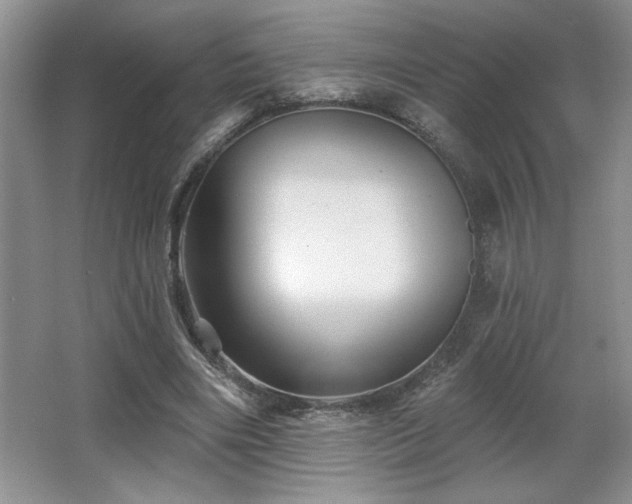 X0000065990490200603061301