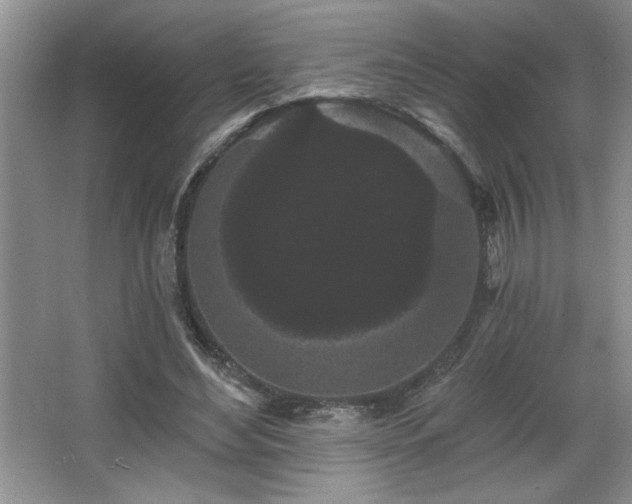 X0000065990492200603061301