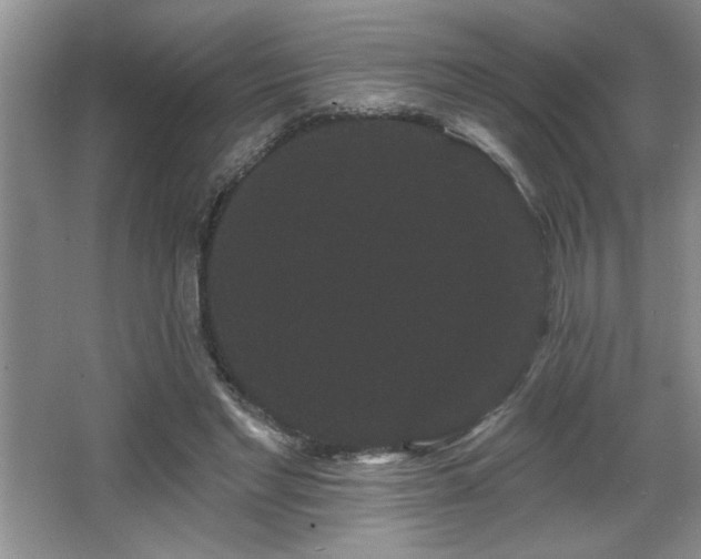 X0000065990493200603061301