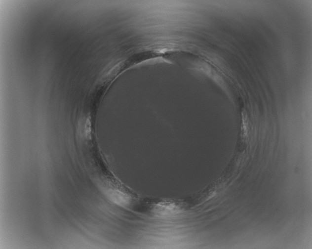 X0000065990502200603061301