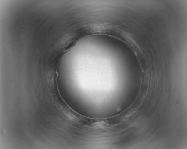 X0000065990505200603061301