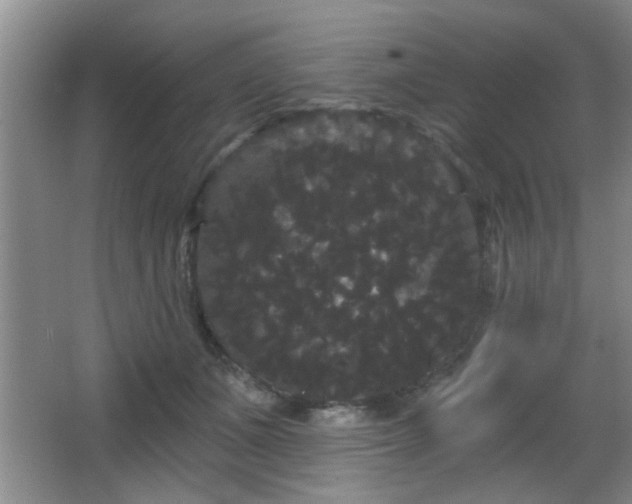 X0000065990511200603061301