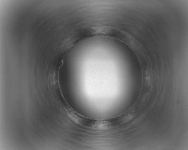 X0000065990514200603061301