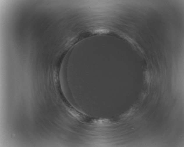 X0000065990517200603061301