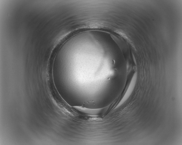 X0000065990536200603061300