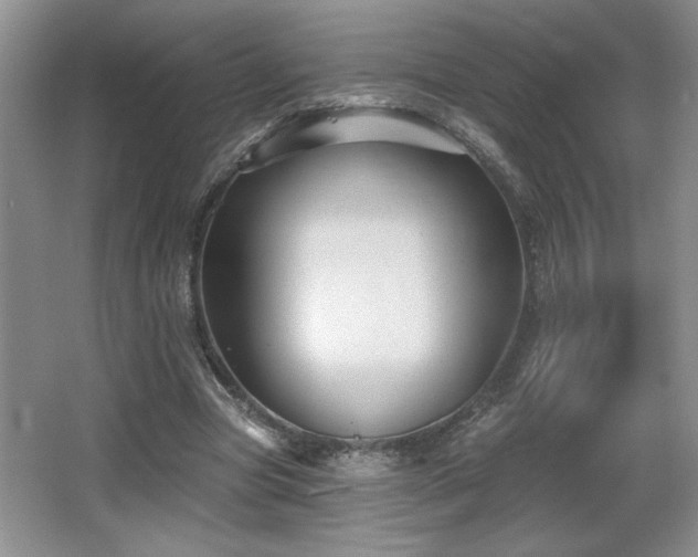 X0000065990537200603061300