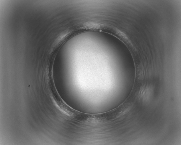 X0000065990538200603061300