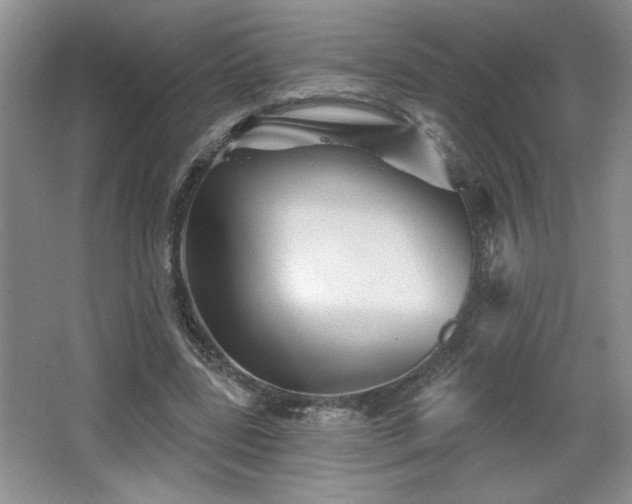 X0000065990539200603061300