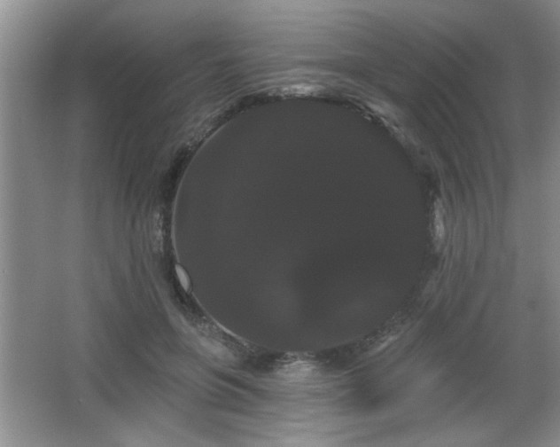 X0000065990551200603061300