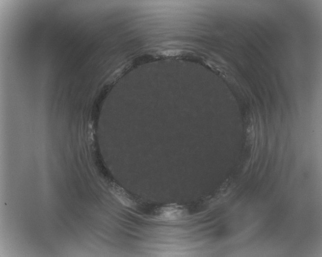 X0000065990555200603061300