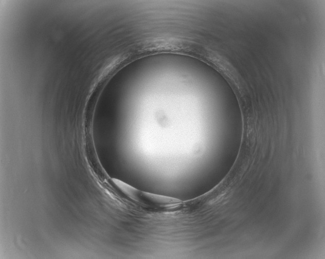 X0000065990578200603061300
