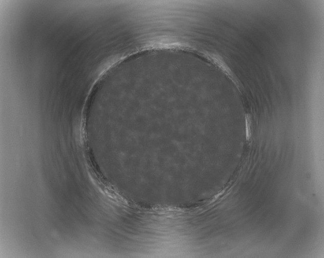 X0000065990579200603061300