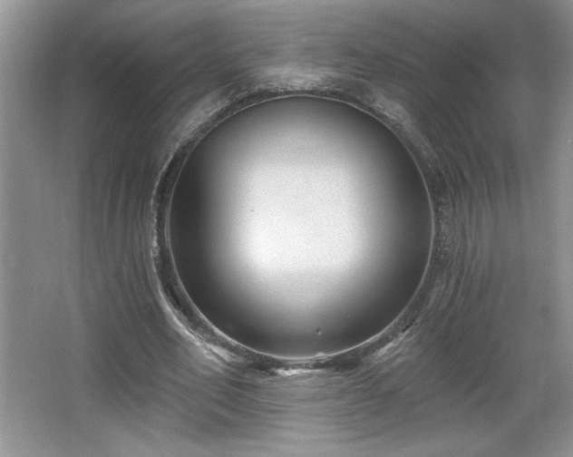 X0000065990582200603061300
