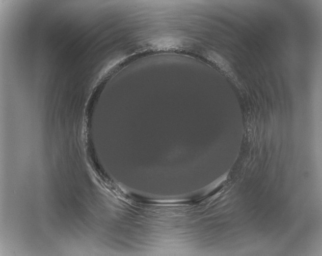 X0000065990583200603061259