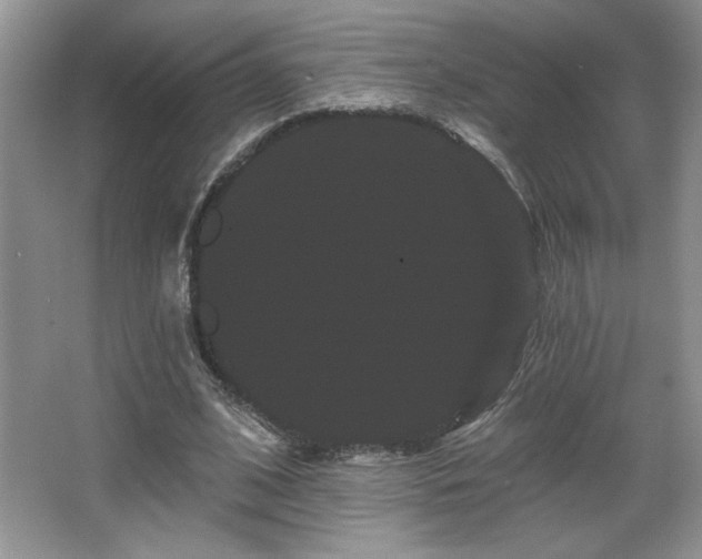 X0000065990584200603061259