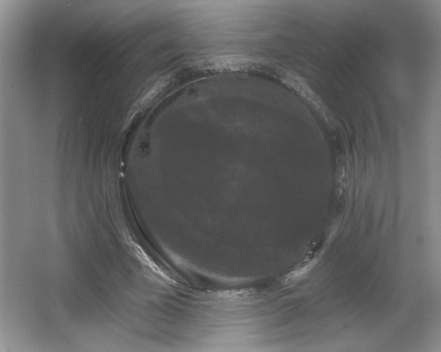 X0000065990585200603061259