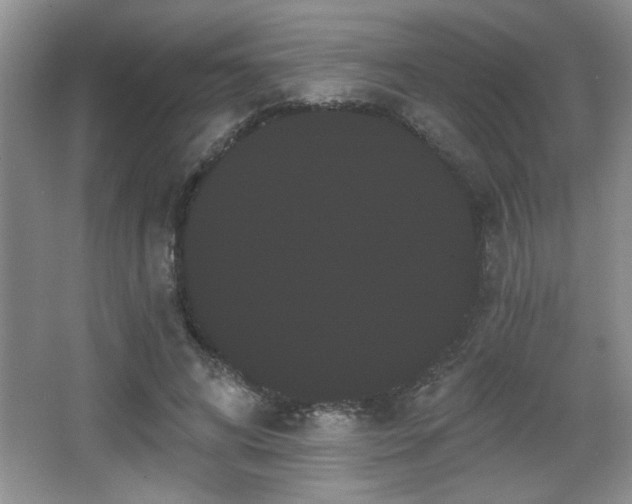 X0000065990592200603061259