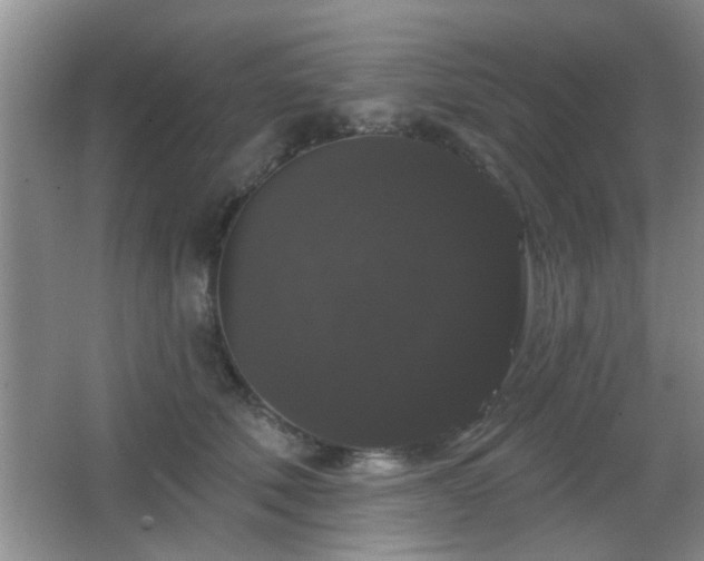X0000065990610200603061259