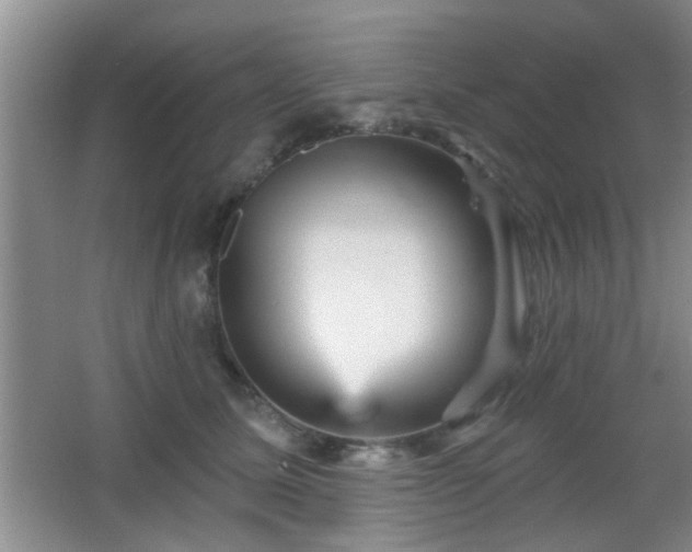 X0000065990611200603061259
