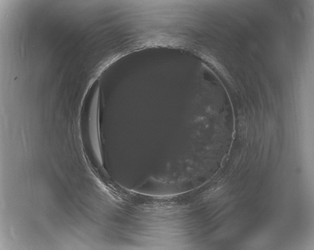 X0000065990626200603061258
