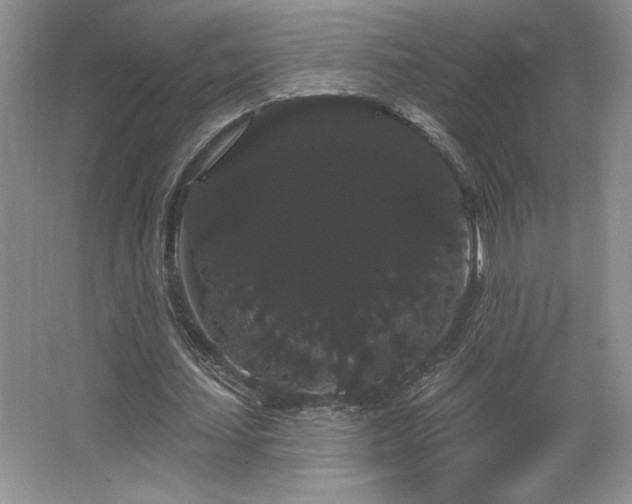 X0000065990627200603061258